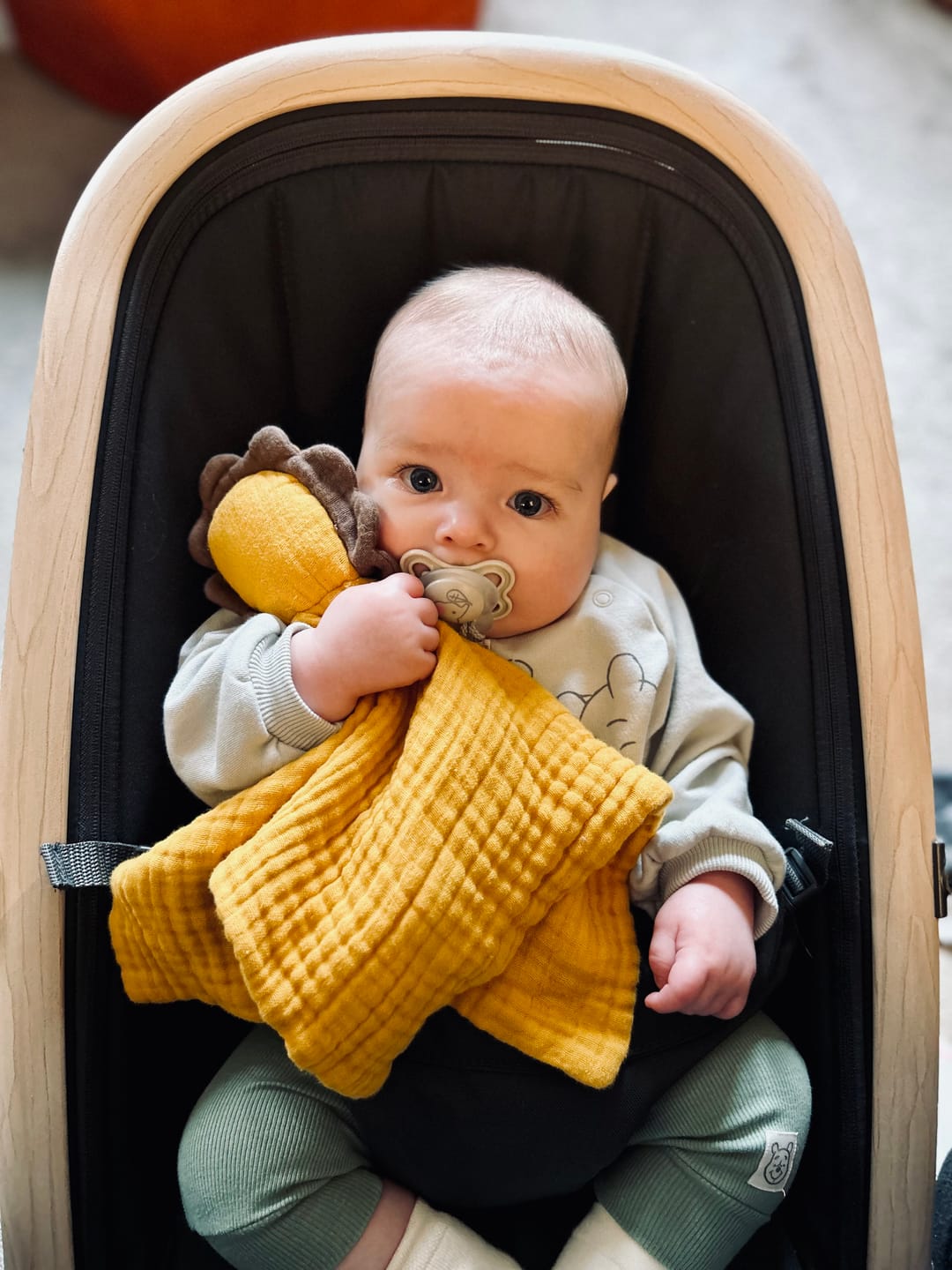 Customer photo review of Golden Lion Organic Baby Comforter