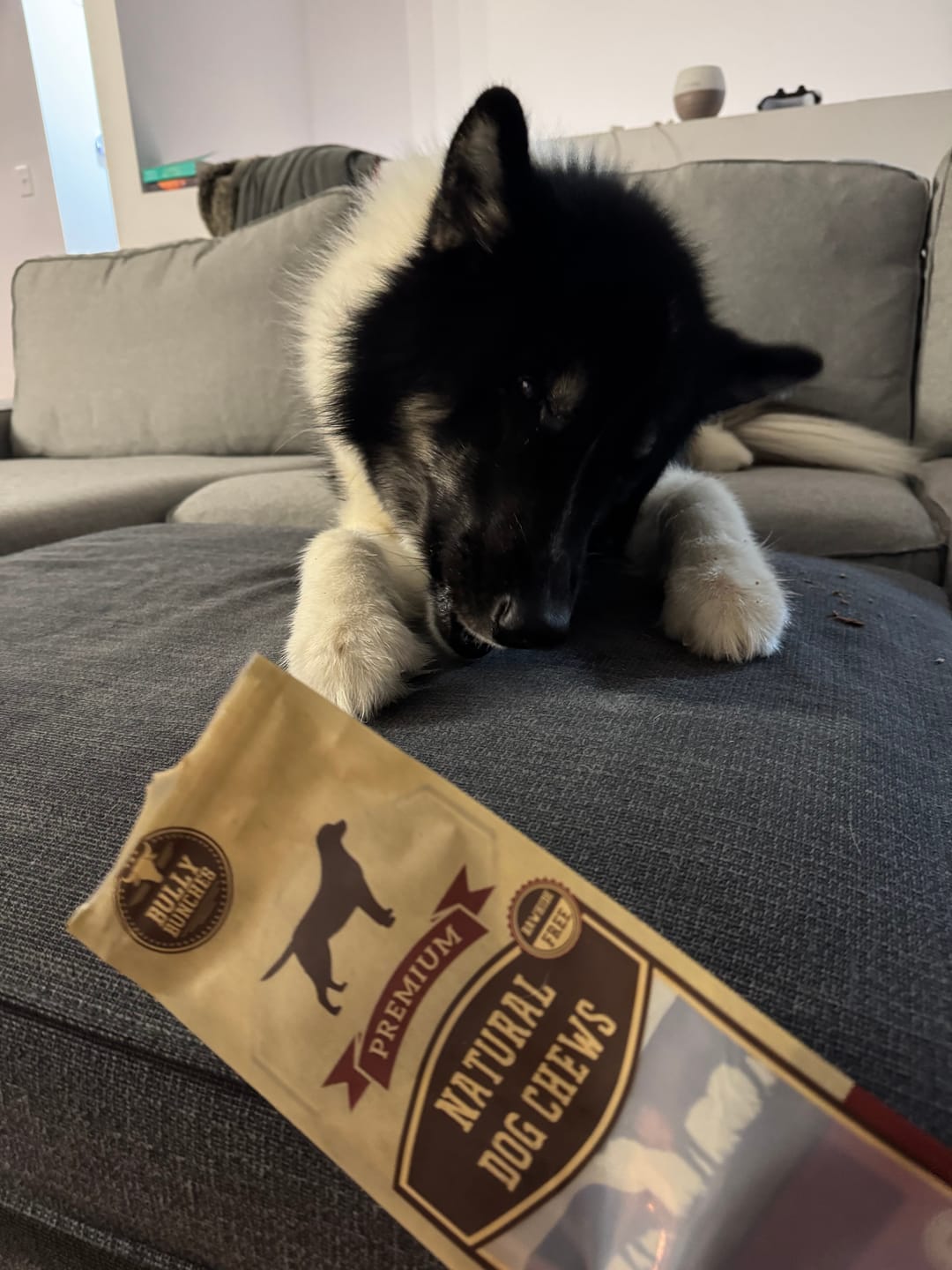 Customer photo review of 12 Inch Beef Jerky Stick