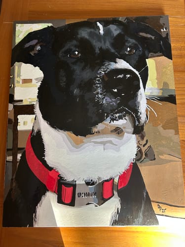 Customer photo review of Paint Your Pet by Numbers Featuring Custom Paint by Numbers Kit