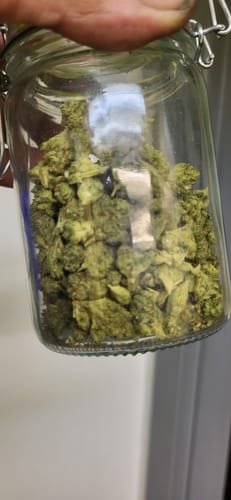 Customer photo review of White Runtz - Greenhouse THCA (Smalls)