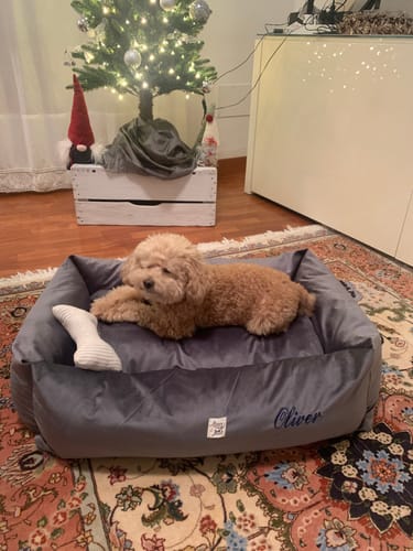 Customer photo review of Gioco Osso