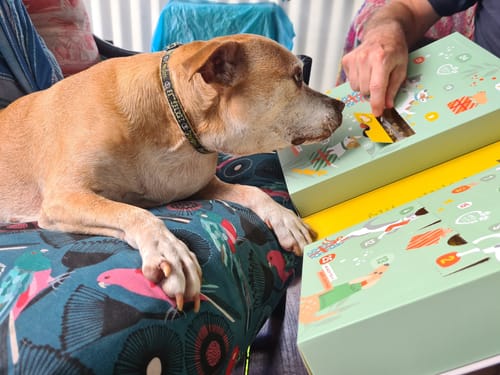 Narelle T. review of Lamb Quoobies - healthy dog treats image 1 out of 1