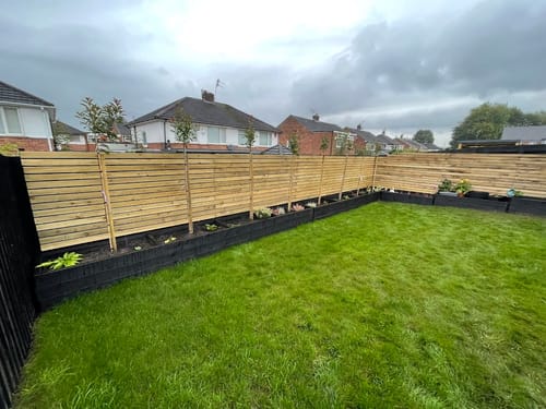 Customer photo review of Red Robin - Standard Trees (180-200cm clear stem)