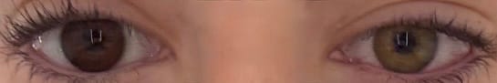 Customer photo review of Eyeling Dark Brown