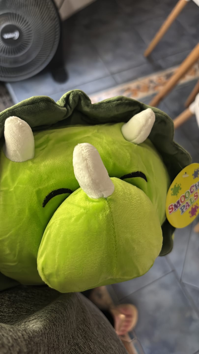 Customer photo review of Peluche Almohada Mediano Felpa De Dinosaurio 40 Cm
