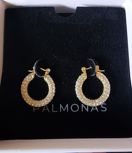 Customer photo review of Diamond Studded Hoop Earrings