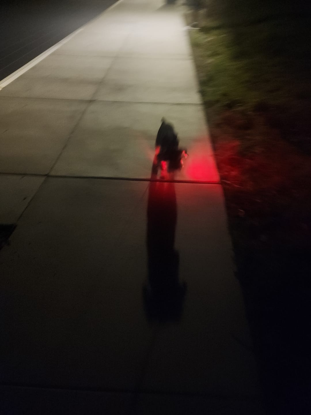 Customer photo review of Ultimate Portable COB Work Light