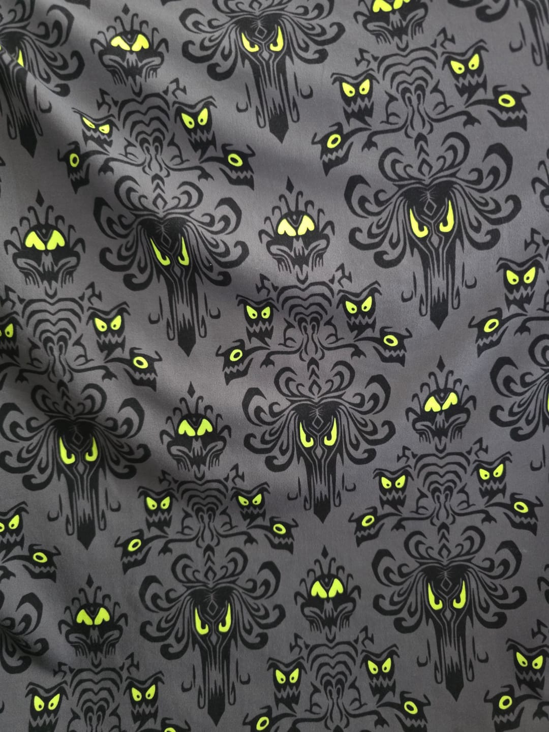 Customer photo review of Disney’s Haunted Mansion "Wall Creeps" – Performance Hoodie