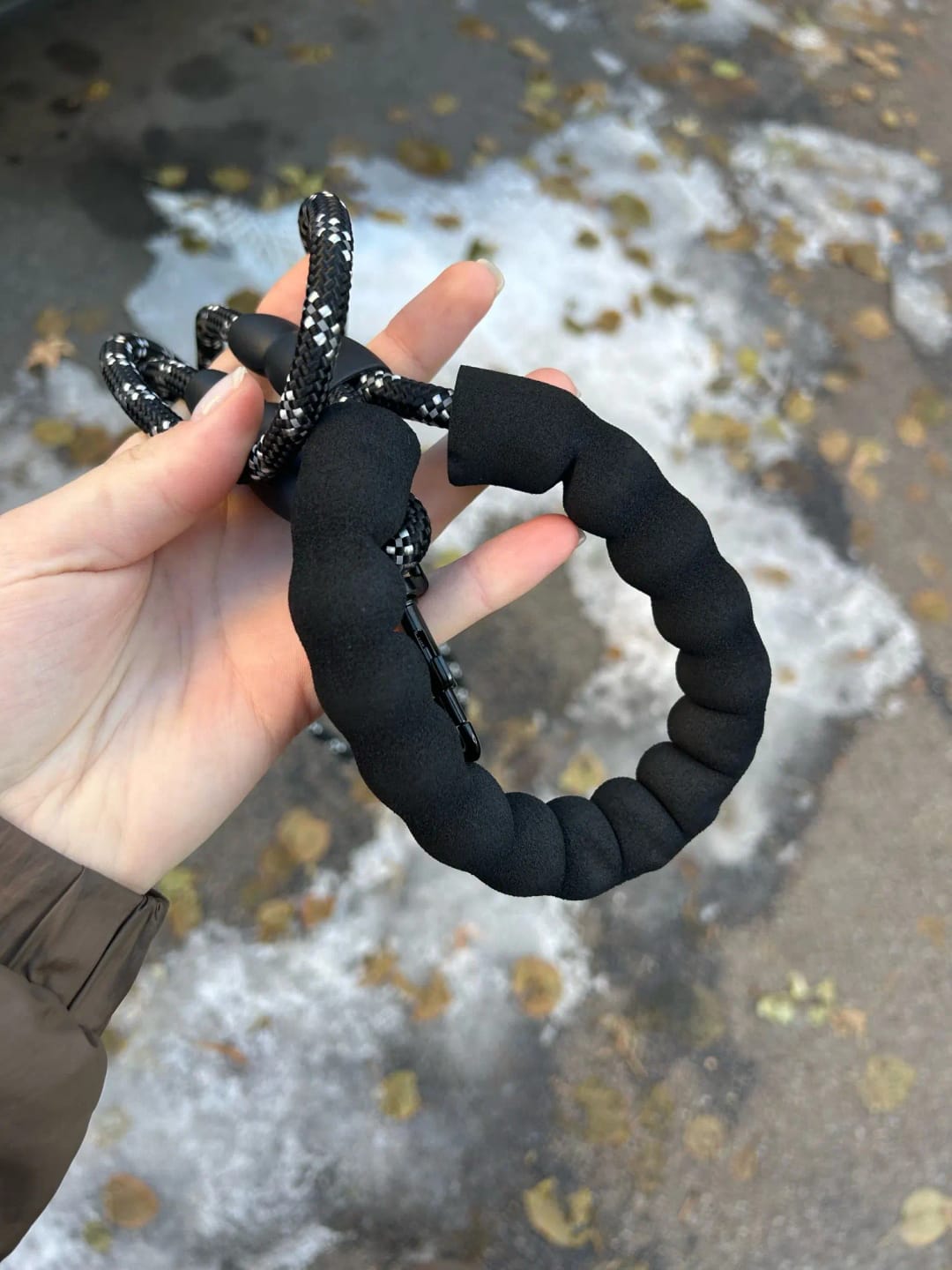 Customer photo review of Strong Reflective Dog Leash