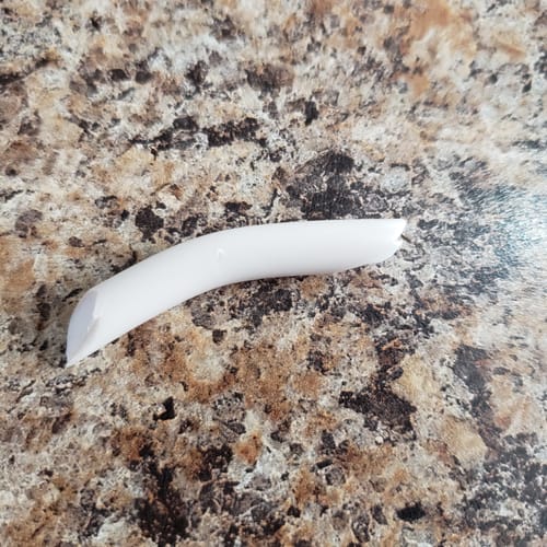 Customer photo review of Spunky Soft Disc