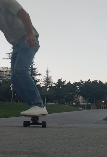 Customer photo review of Z-Flex Ruins To Roses Surfskate Fishtail 31" Cruiser