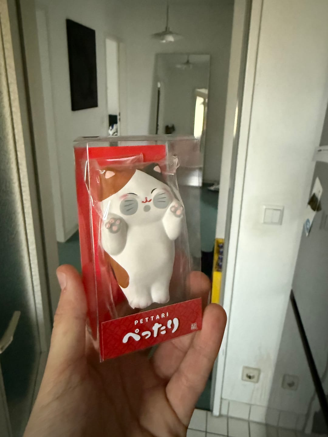 Customer photo review of Kawaii Figurine Katze Neko
