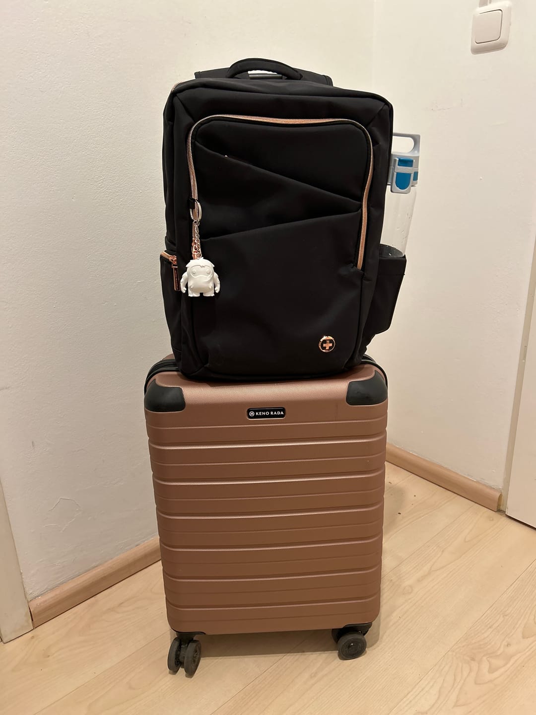 Customer photo review of KATY ROSE NG Black L+ Backpack
