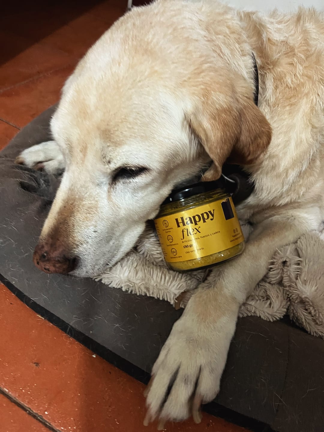Customer photo review of Happy Flex I  Anti Inflamatorio Para Perros y Gatos. Articulaciones, huesos y cadera