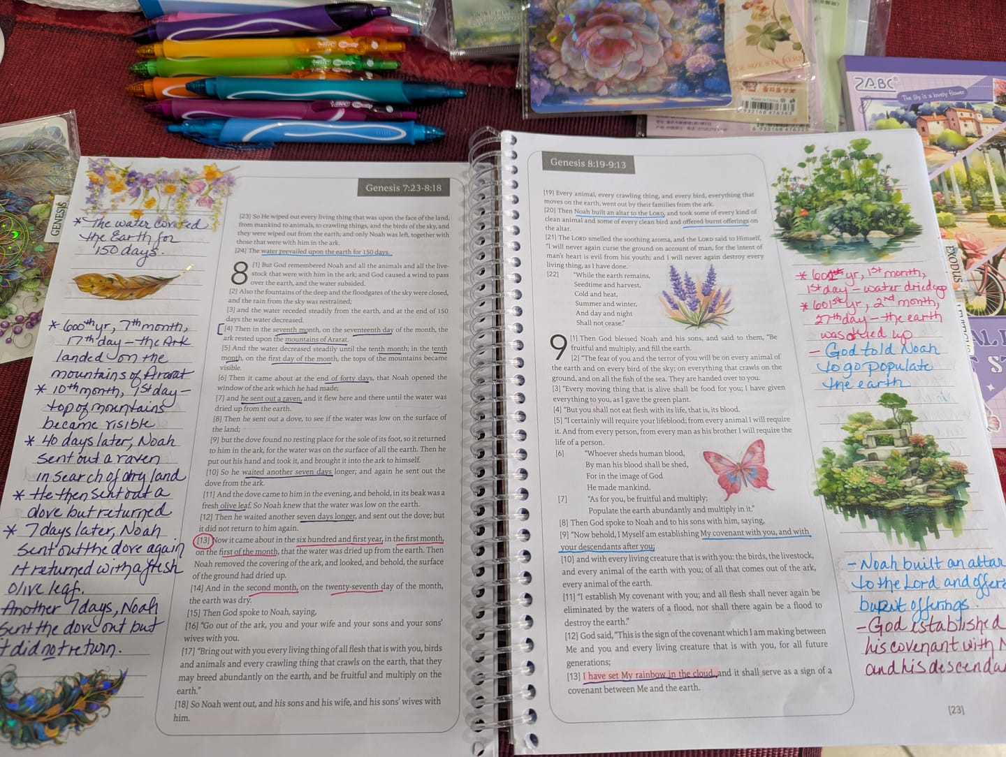 Customer photo review of Spiral Bible™ Transparent Sticky Notes