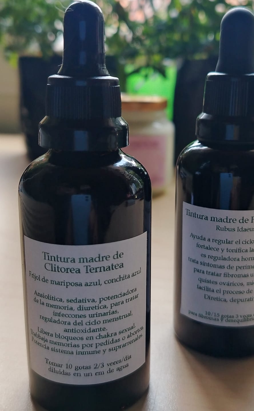 Customer photo review of Butterfly Pea Clitoria