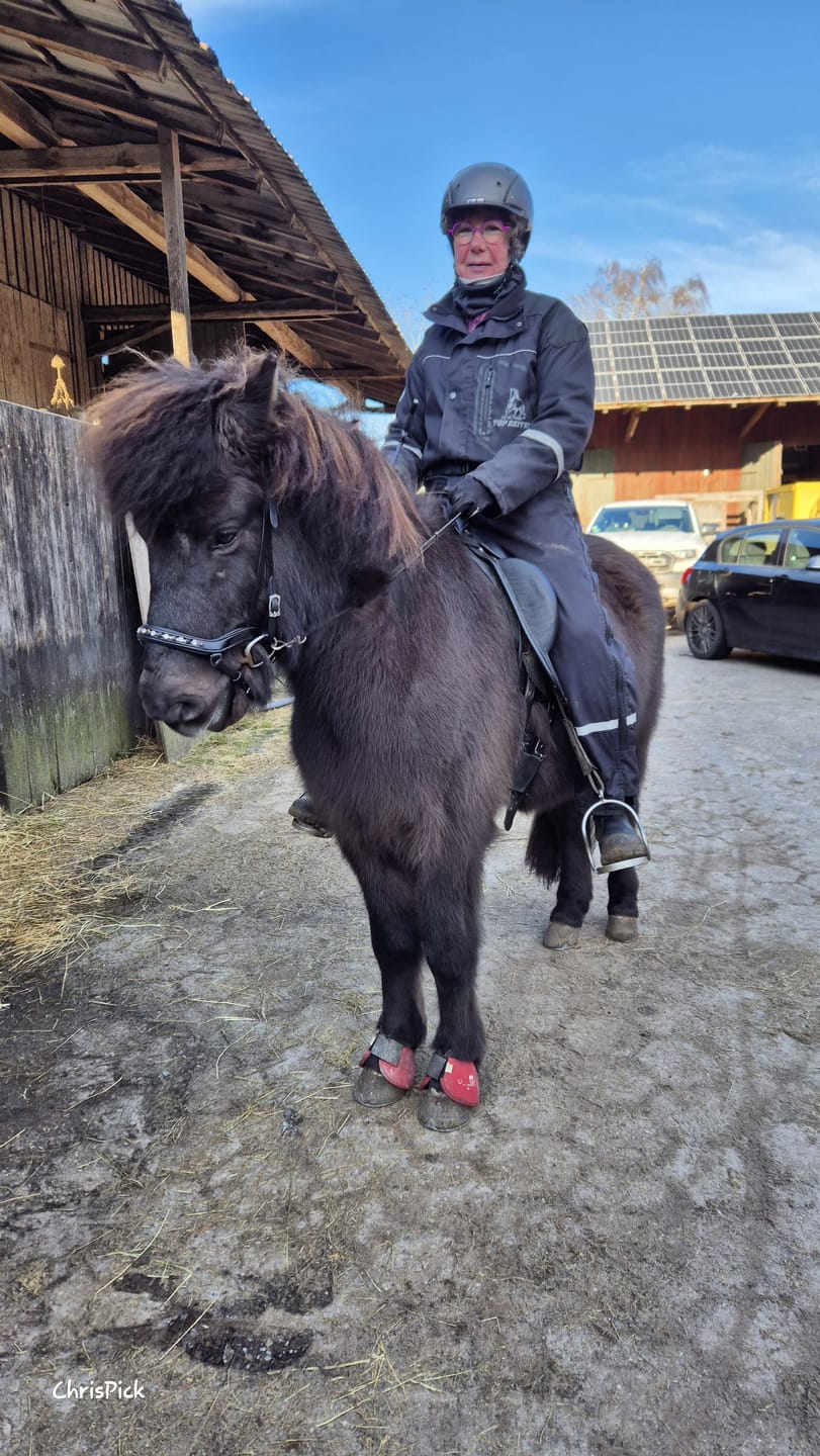 Customer photo review of Hilbar Trensenlinie anatomischer Nasenriemen Black&White (b)
