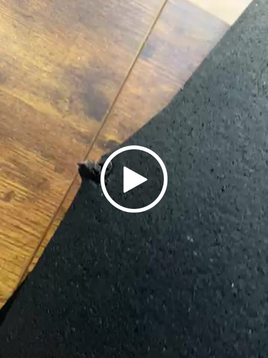 Customer video review of The Deck (Prototype)