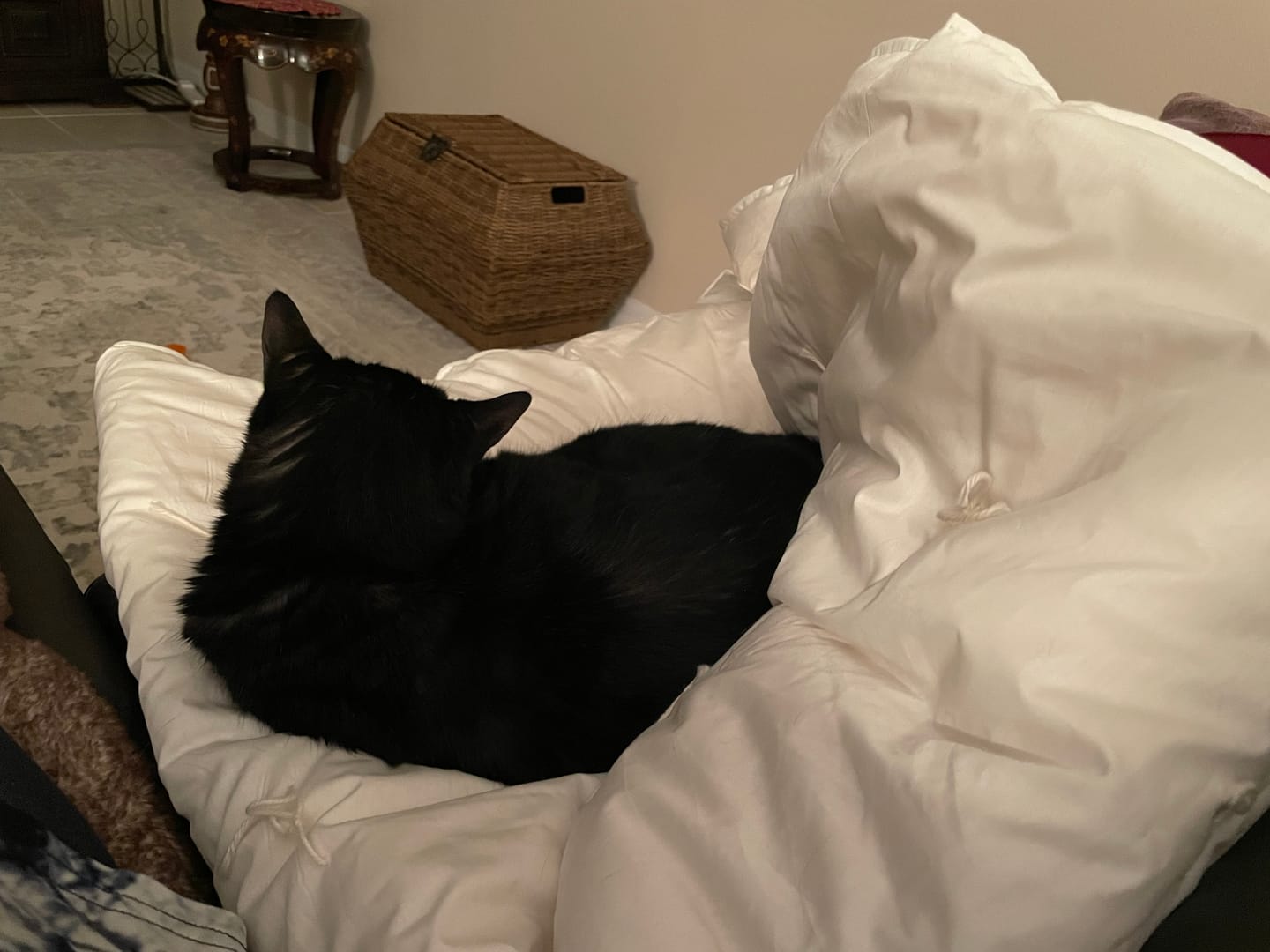 Customer photo review of Wool Comforter