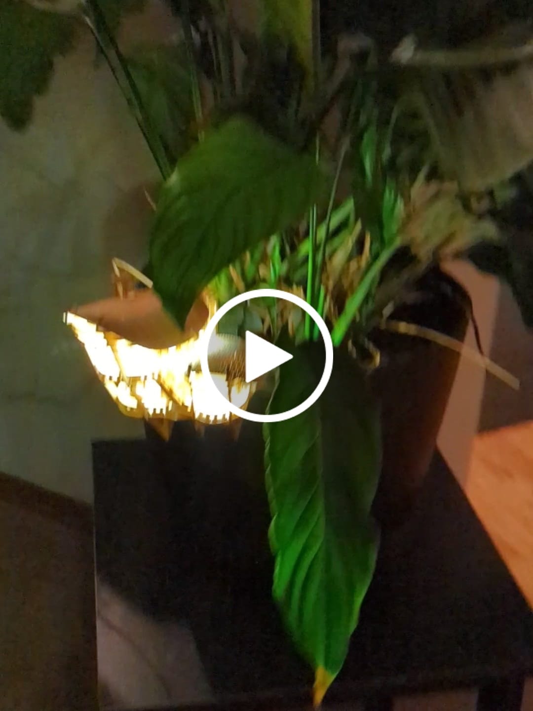 Customer video review of Forest Cottage