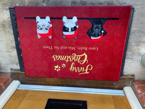Customer photo review of Furry Christmas - Personalised Doormat