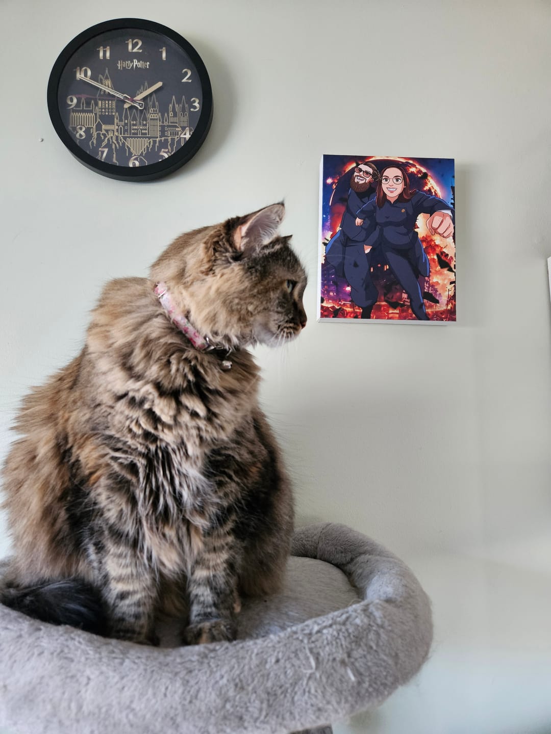 Customer photo review of Canvas