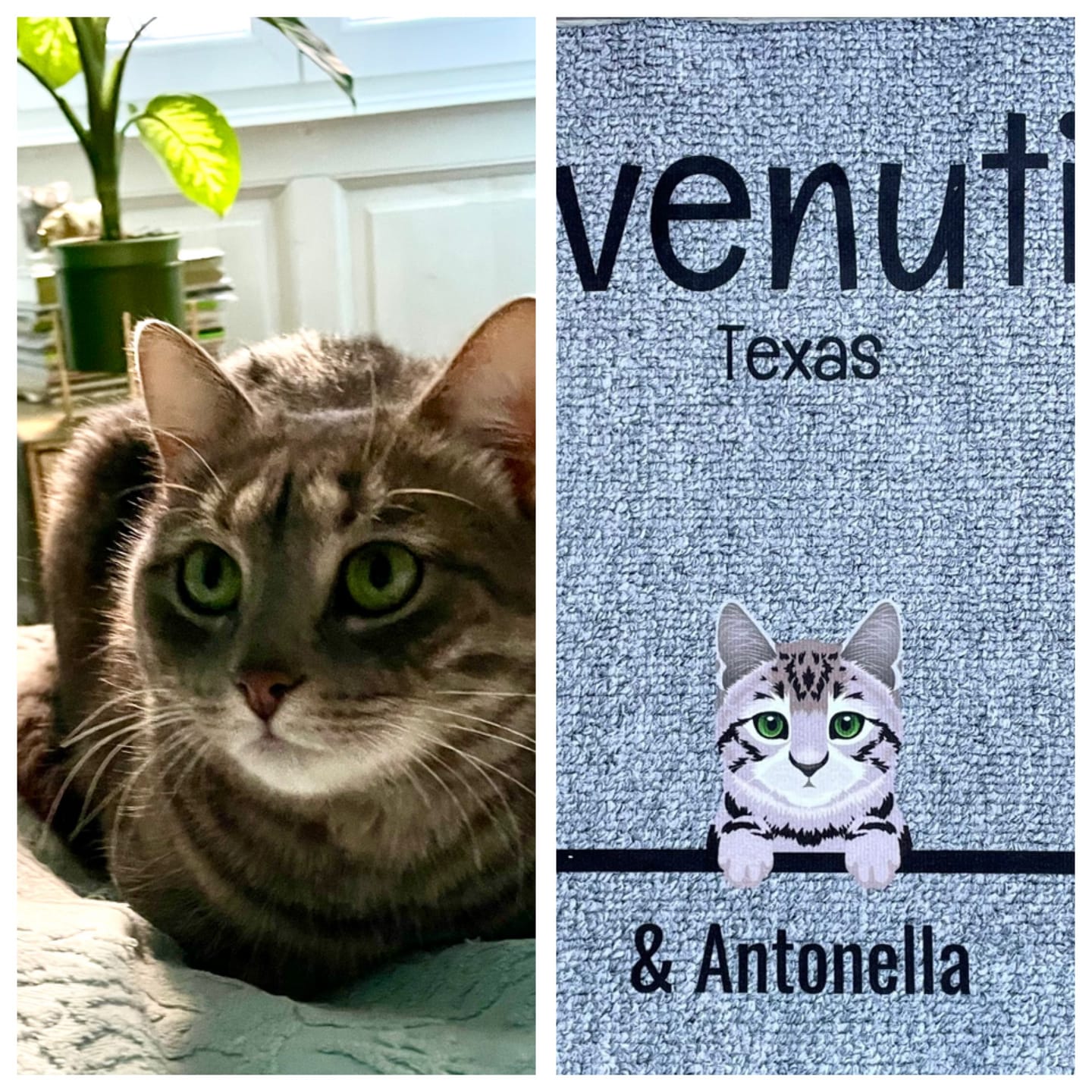 Customer photo review of Tutti i miei amici pelosi - Zerbino personalizzato