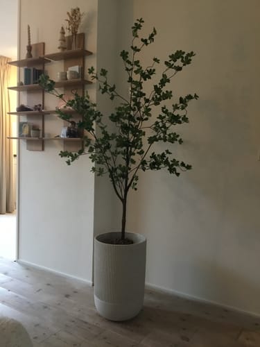 Customer photo review of Esdoorn Kunstboom 150cm