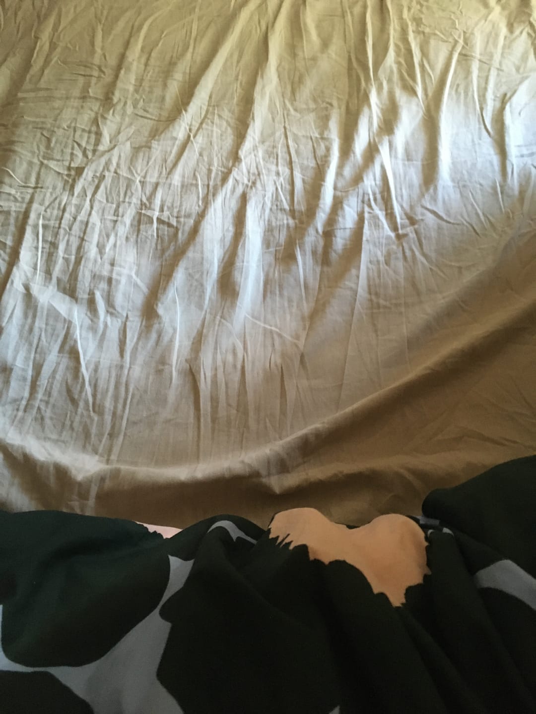 Customer photo review of SLEEP HEXAGON　ホルミシスポータブルパッド
