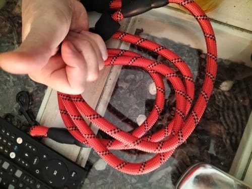 Customer photo review of Strong Reflective Dog Leash