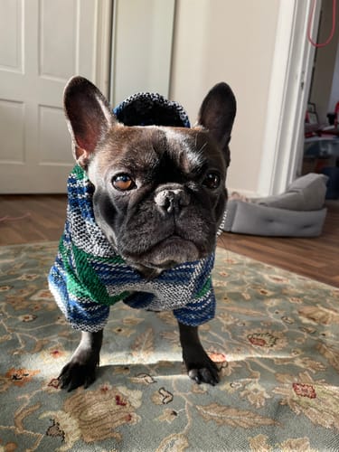 Customer photo review of Free & Easy Return or Exchange Coverage + Package Protection