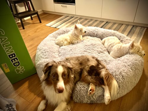 Customer photo review of CalmBed - Motverkar stress & hjälper mot ångest