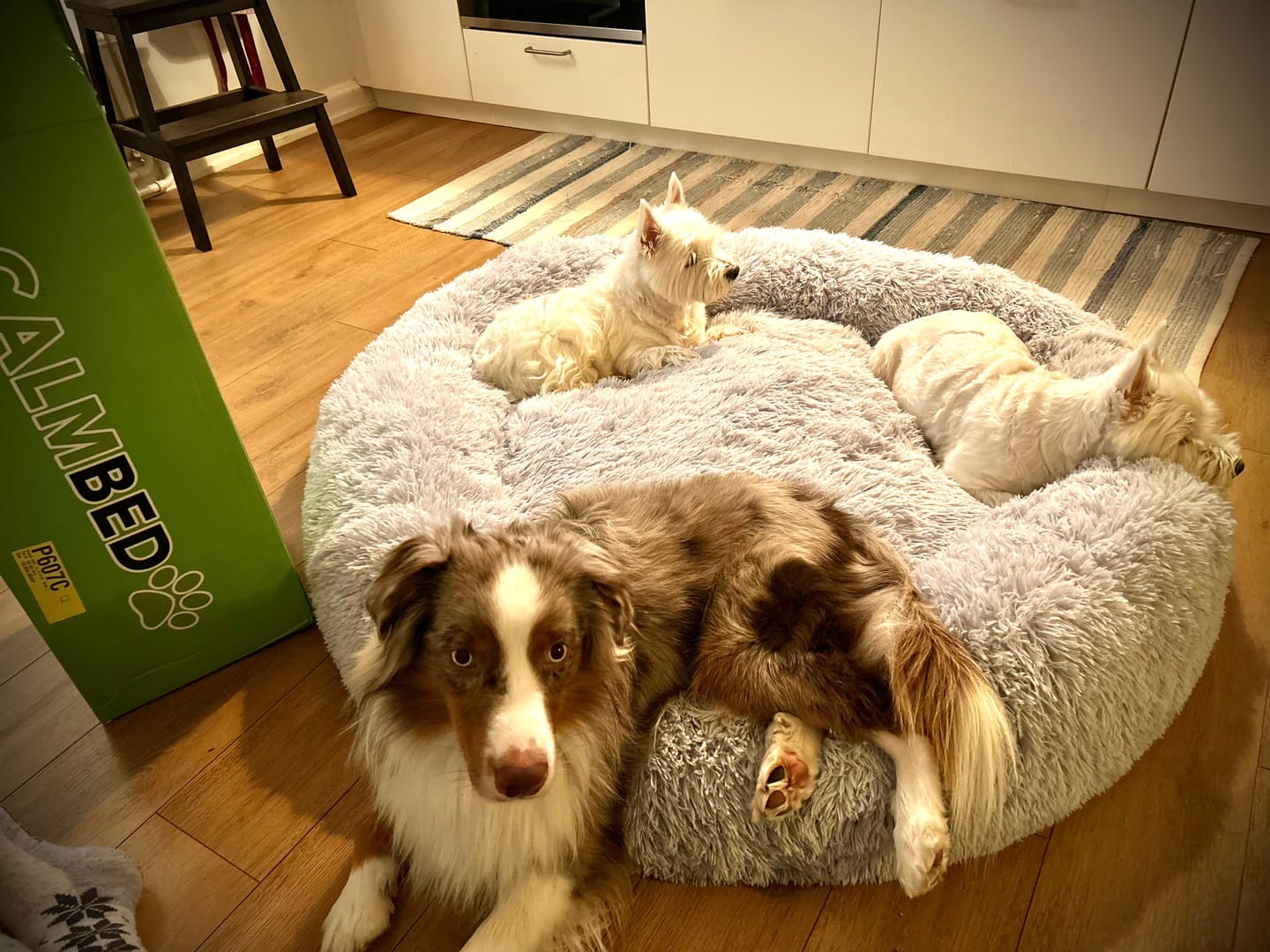 Customer photo review of CalmBed - Motverkar stress & hjälper mot ångest