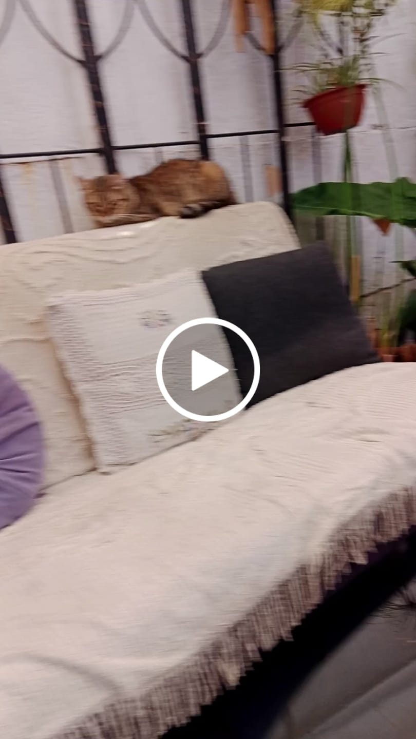 Customer video review of Parlante Blik Live