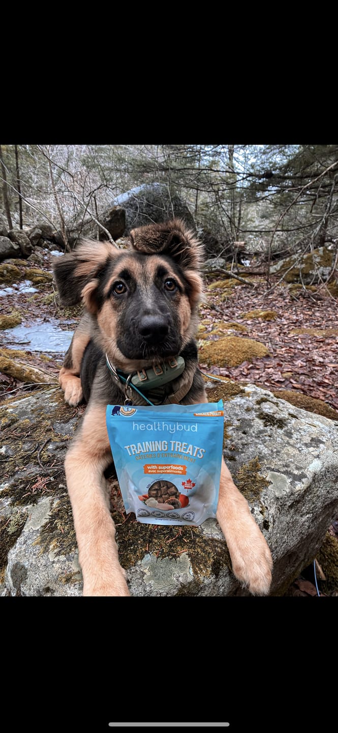 Customer photo review of Chicken Mini Training Treats