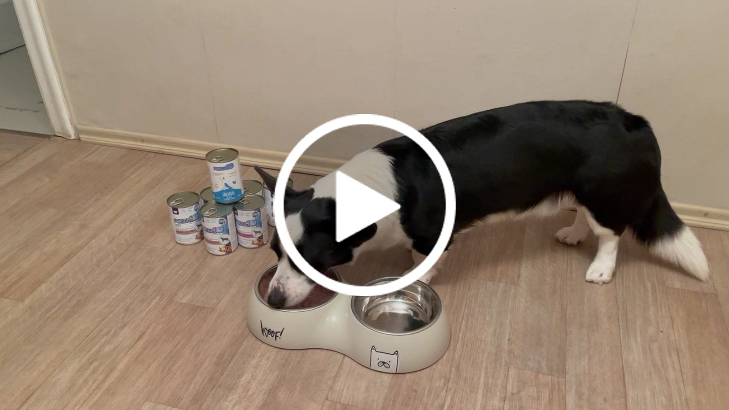 Customer video review of DIET konservi ar jēra gaļu un rīsiem