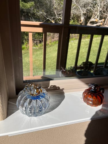 Customer photo review of Happily Ever After Pumpkin