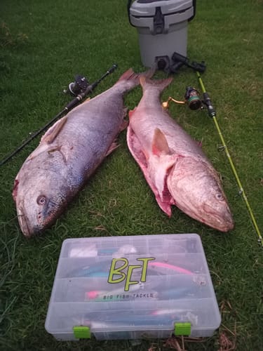 Customer photo review of Porta cañas holder universal