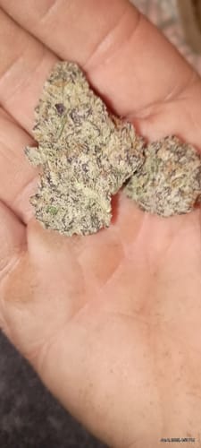Customer photo review of Blue Lemonade