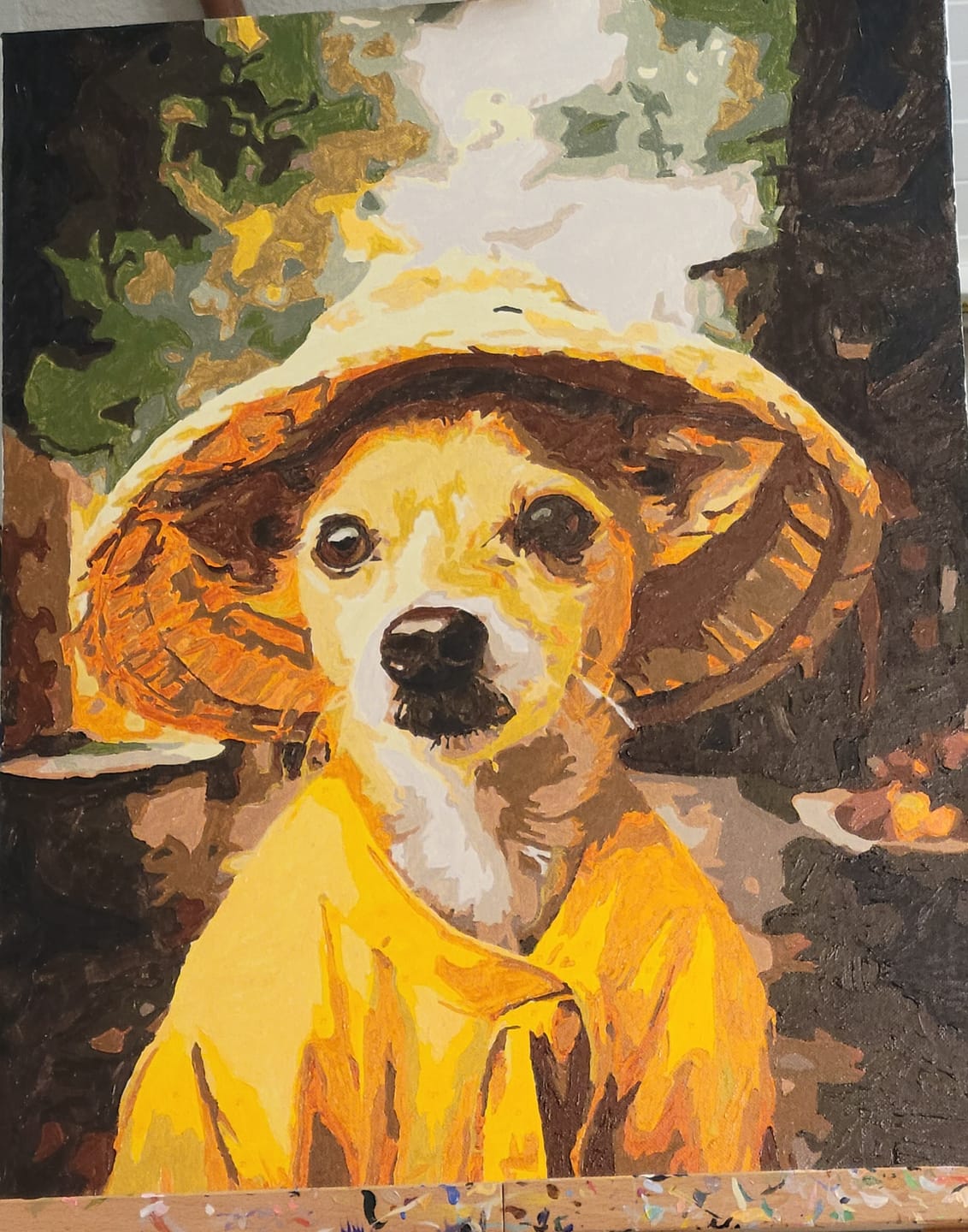 Customer photo review of Chihuahua In A Conical Hat
