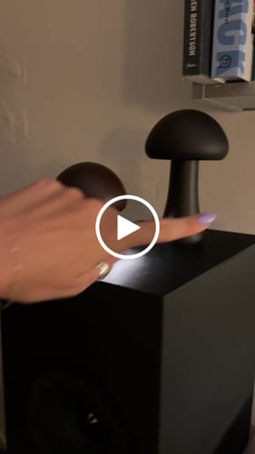 Customer video review of Timber Mushie Lamp | Walnut | Regular