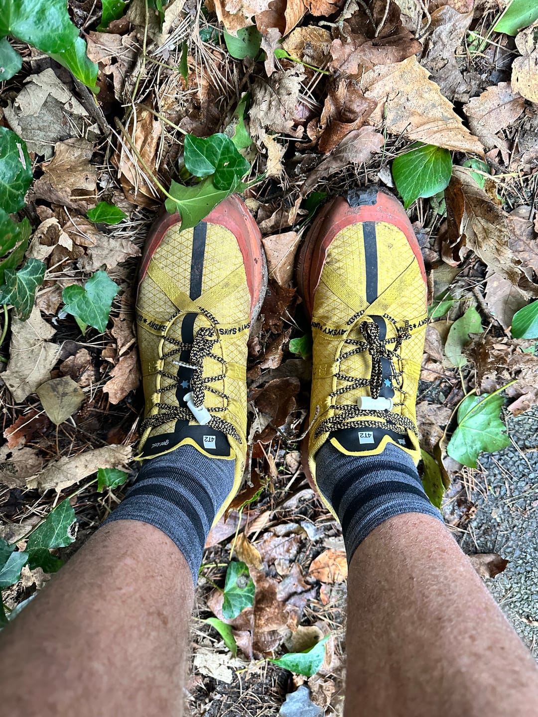 Customer photo review of get lost, saysky edition.