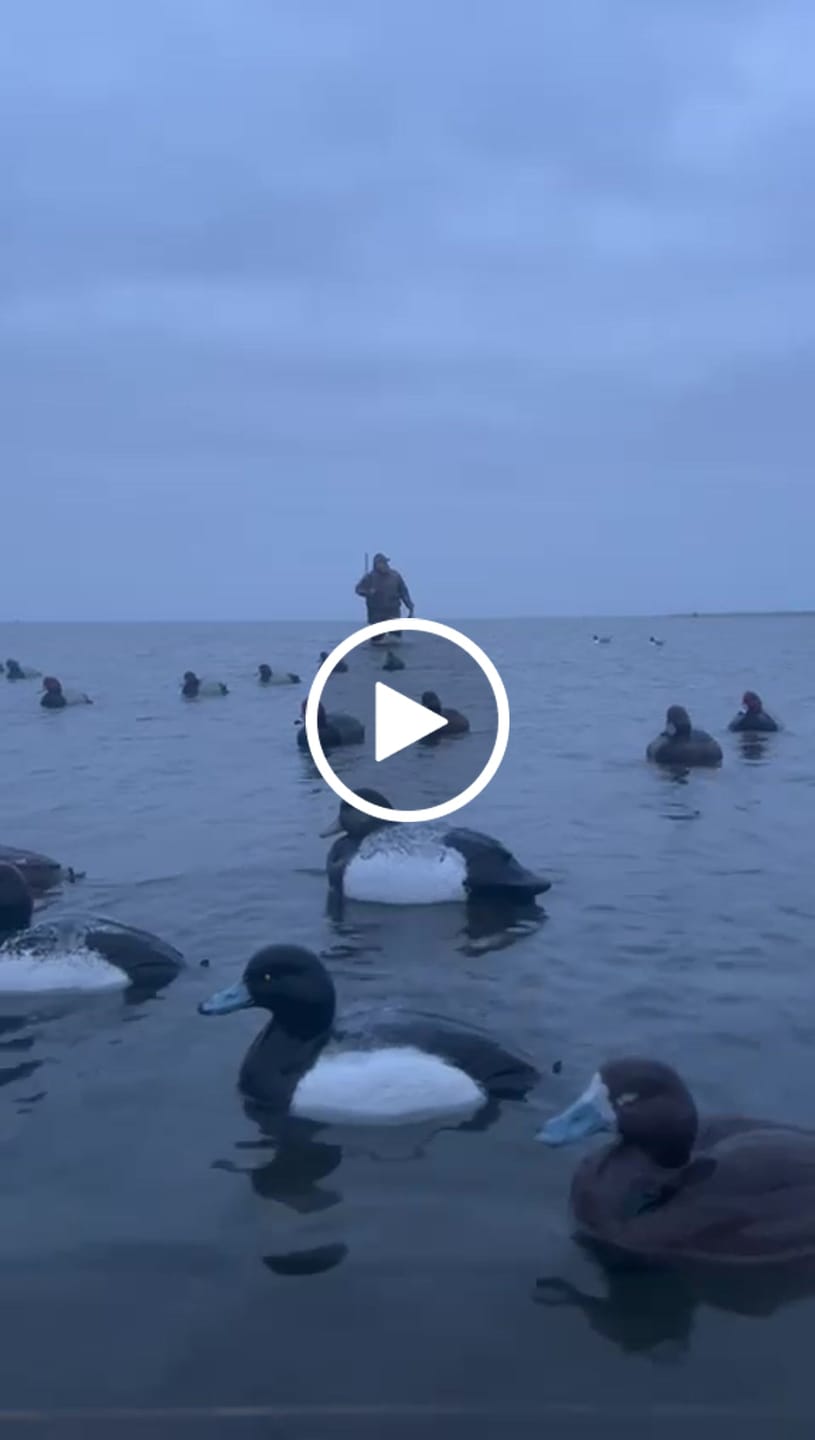 Customer video review of TorridWade Heated Duck Waterfowl Hunting Breathable Chest Waders