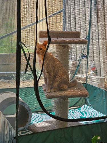 Customer photo review of PUC1850H