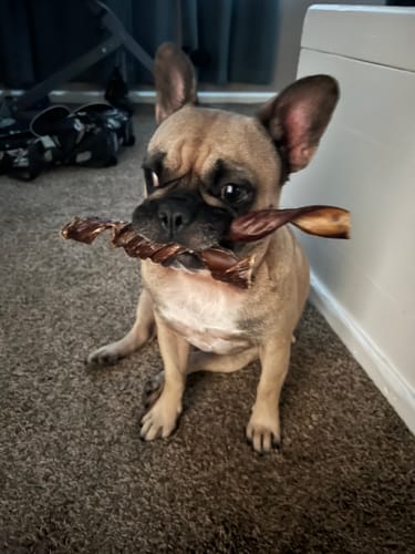 Customer photo review of USA Turkey Tendons