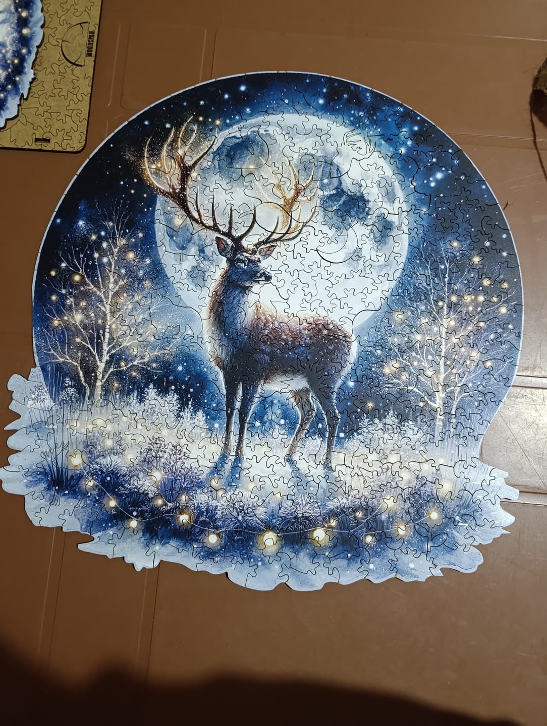 Customer photo review of The Aurora - Gecenin Işıltısı