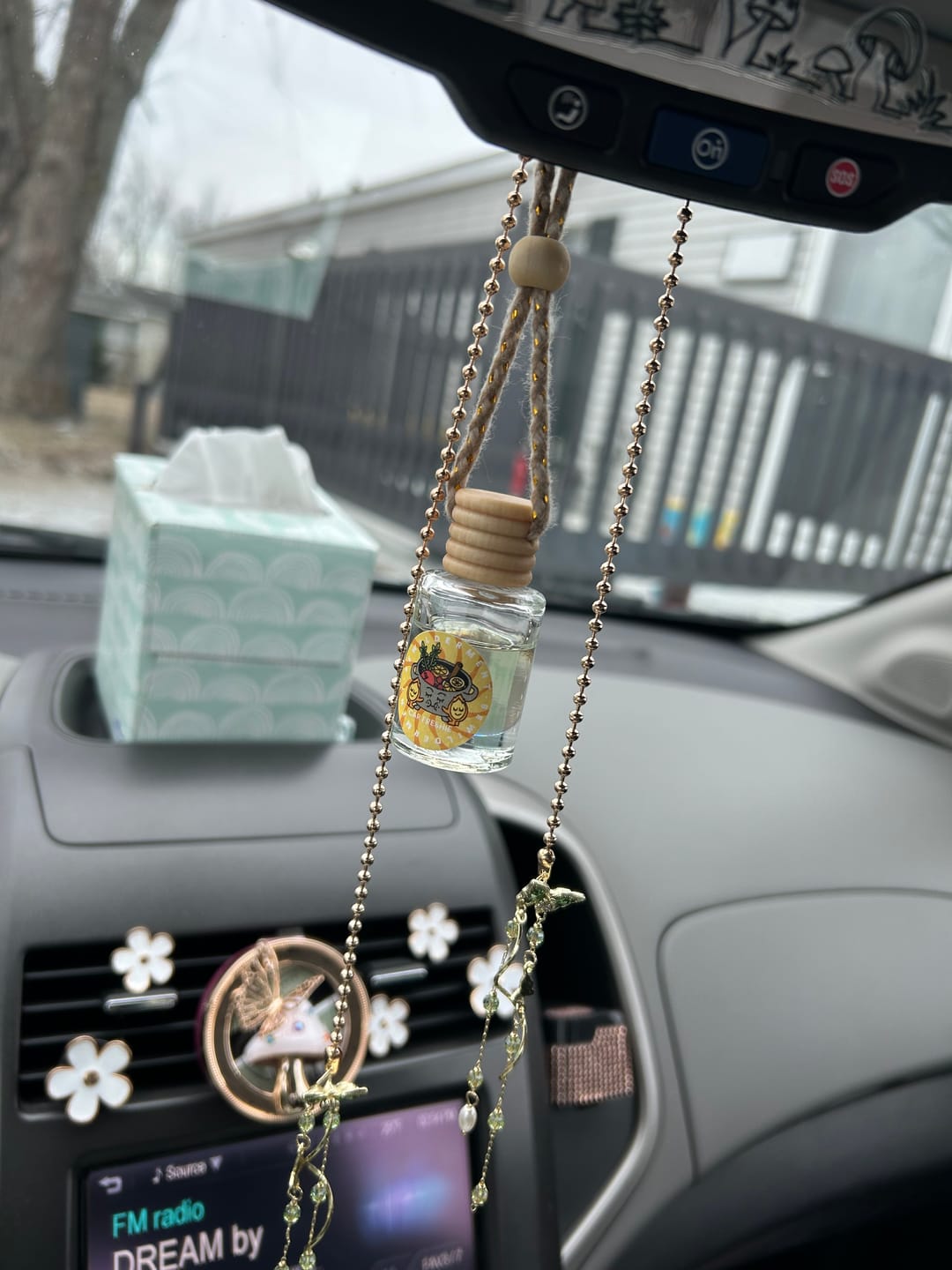 Customer photo review of Simmer Pot Car Freshie