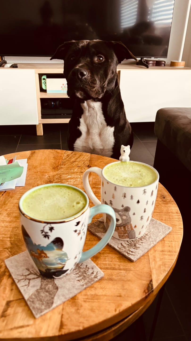 Customer photo review of Teishu Super Premium Tenno Matcha Bio 30g