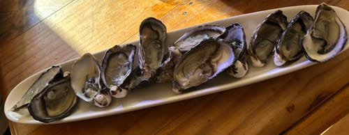 Customer photo review of Live NZ Oysters (Coromandel)