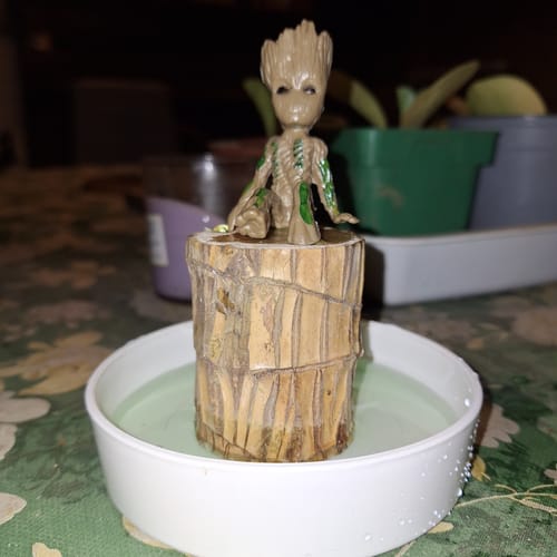 Customer photo review of Bois Porte-Bonheur Apaisant (+Figurine Offerte)